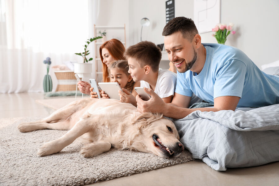 4+kk and 5+kk APARTMENTS