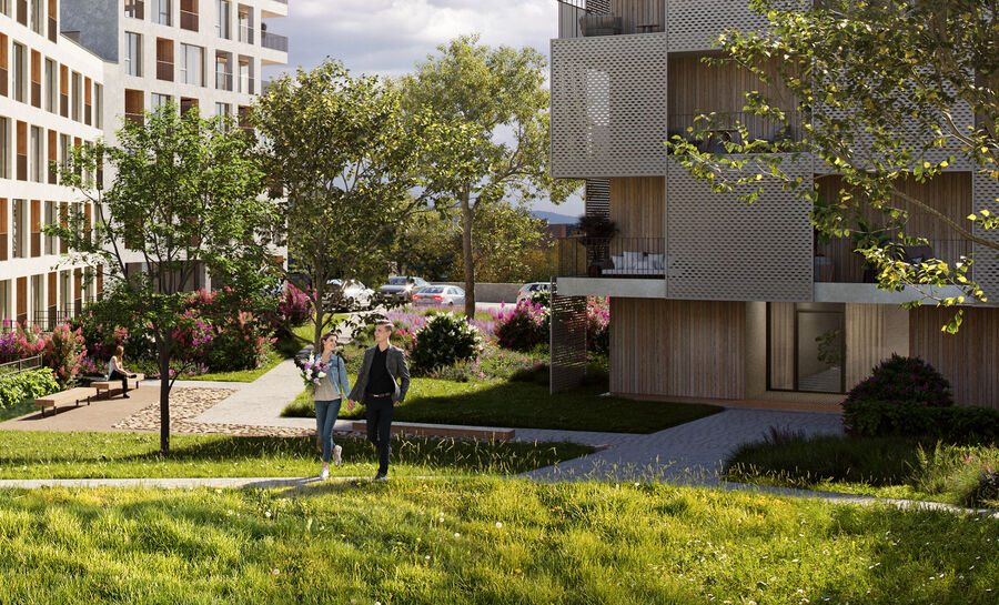 We're building a park district